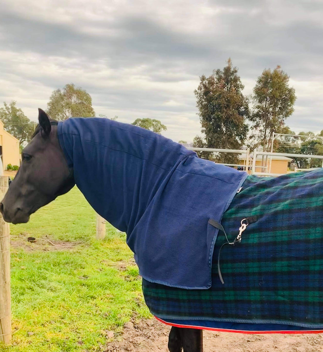 Winter Rugs Murrong Equestrian