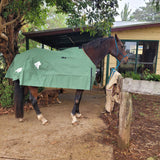 Lined Canvas Rug with Gussets