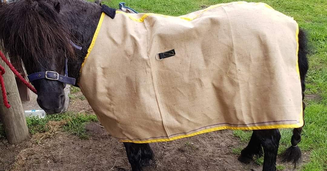 Other Rugs Murrong Equestrian