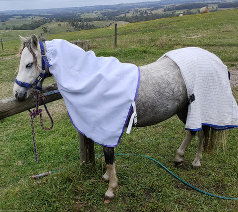 Scrunchie Flag Neck Rug Cob - Extra Large